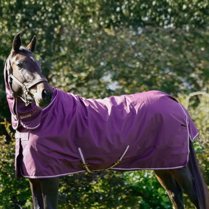 Bucas Freedom 150g Combo Neck Turnout Blanket - Blackberry-2