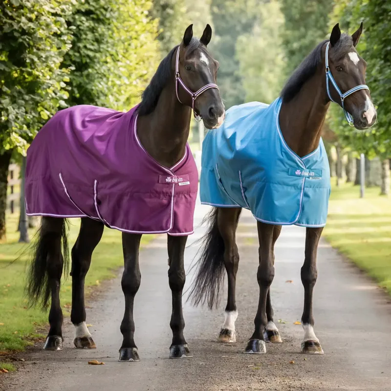 Bucas Freedom 150g Combo Neck Turnout Blanket - Blueberry-6