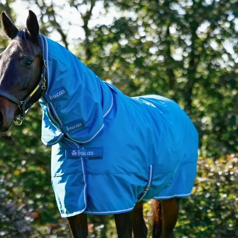 Bucas Freedom 150g Combo Neck Turnout Blanket - Blueberry-5
