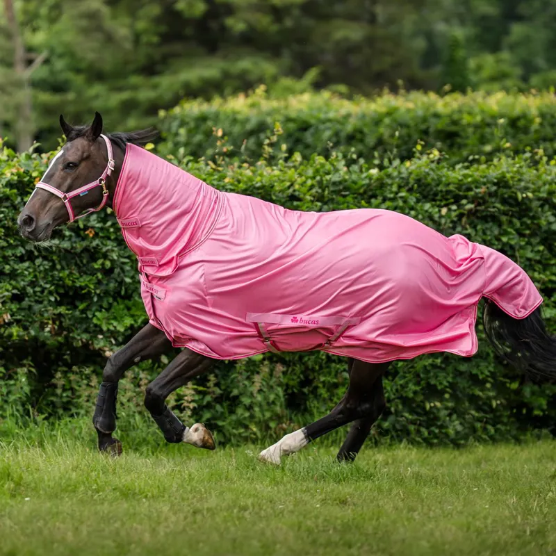 Bucas Freedom Combo Neck Fly Sheet - Aurora Pink