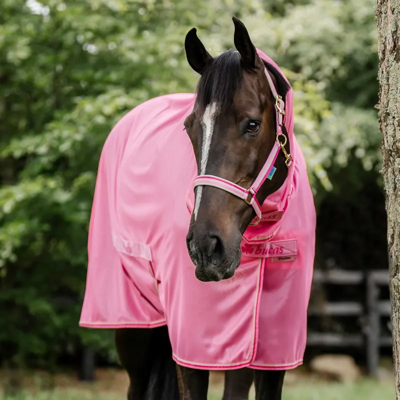 Bucas Freedom Combo Neck Fly Sheet - Aurora Pink-1