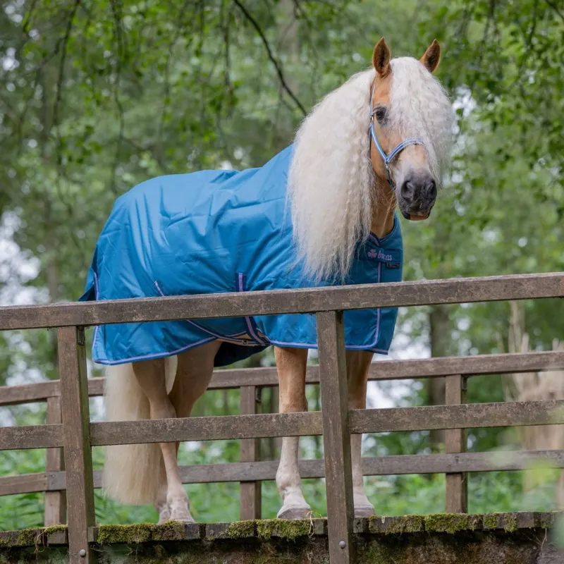 Bucas Freedom 150g Detachable Neck Turnout Blanket - Blueberry-1