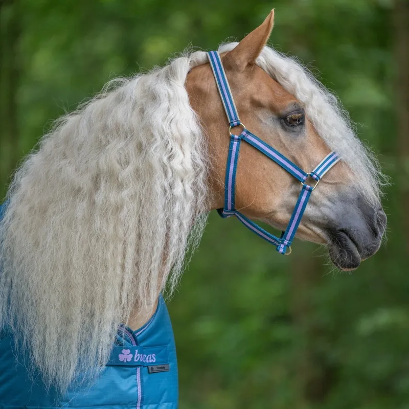 Bucas Freedom 150g Detachable Neck Turnout Blanket - Blueberry-2