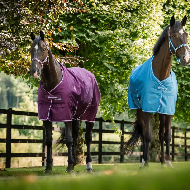 Bucas Freedom 150g Stable Blanket - Blackberry-5