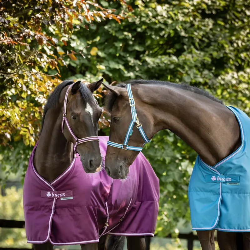 Bucas Freedom 150g Stable Blanket - Blackberry-6