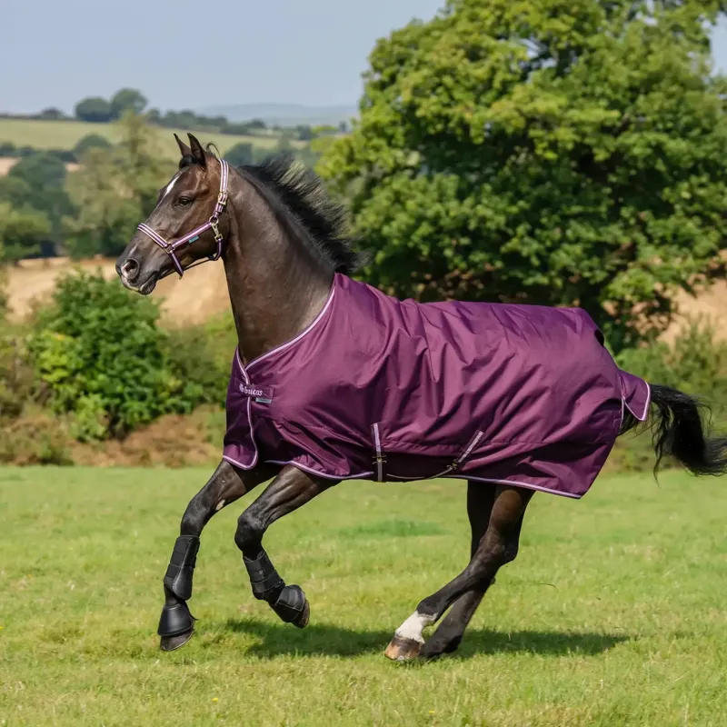Bucas Freedom 50g Standard Neck Turnout Blanket - Blackberry