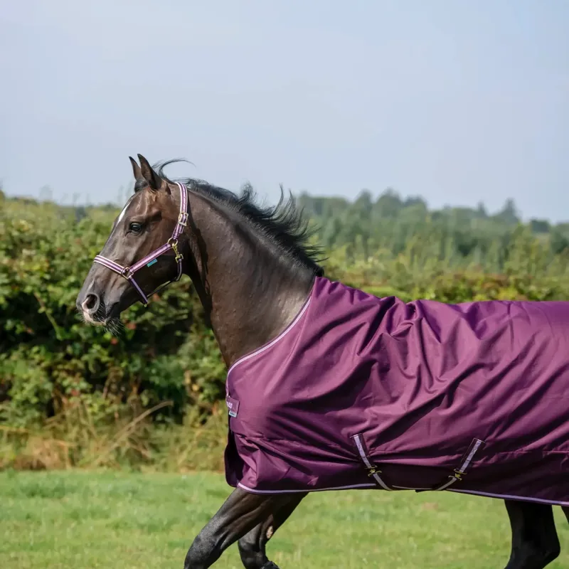 Bucas Freedom 50g Standard Neck Turnout Blanket - Blackberry-1