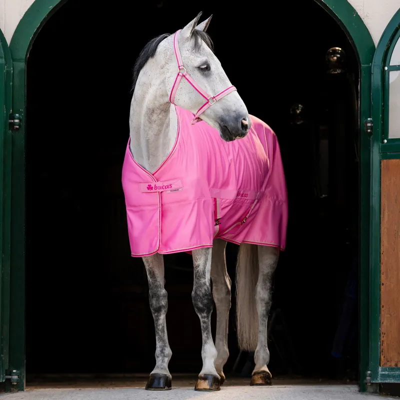 Bucas Freedom Twill Stable Sheet - Aurora Pink