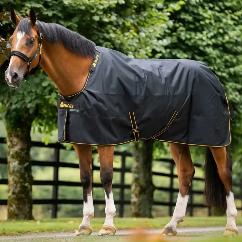 Bucas Irish 50g Standard Neck Turnout Blanket - Black/Gold
