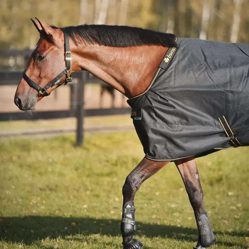 Bucas Irish 50g Standard Neck Turnout Blanket - Black/Gold-1