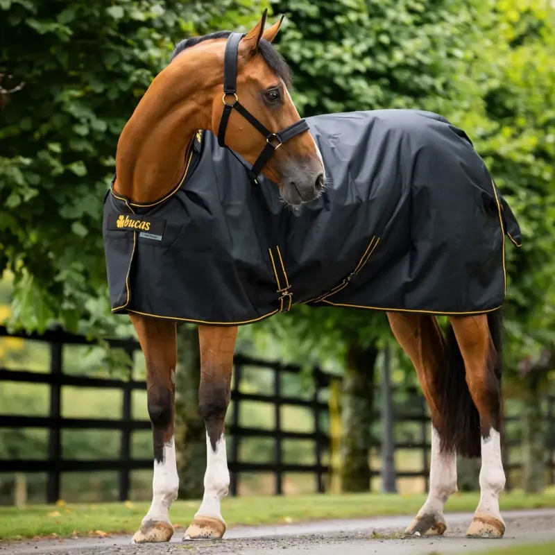 Bucas Irish 50g Standard Neck Turnout Blanket - Black/Gold-2