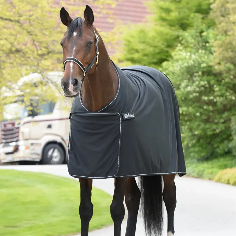 Bucas Panel Prize Cooler - Black/Silver