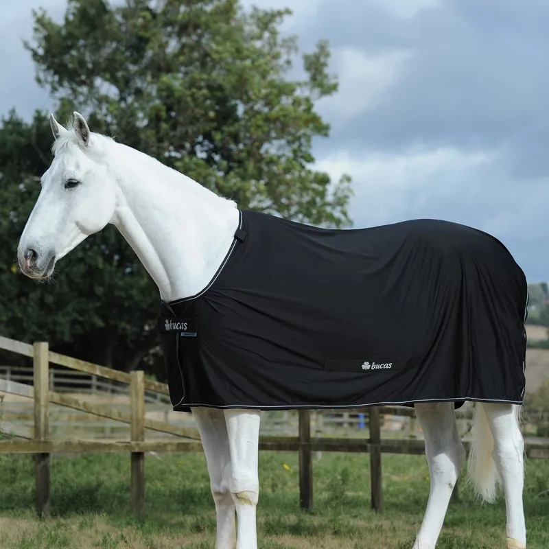 Bucas Power Cooler - Black/Silver