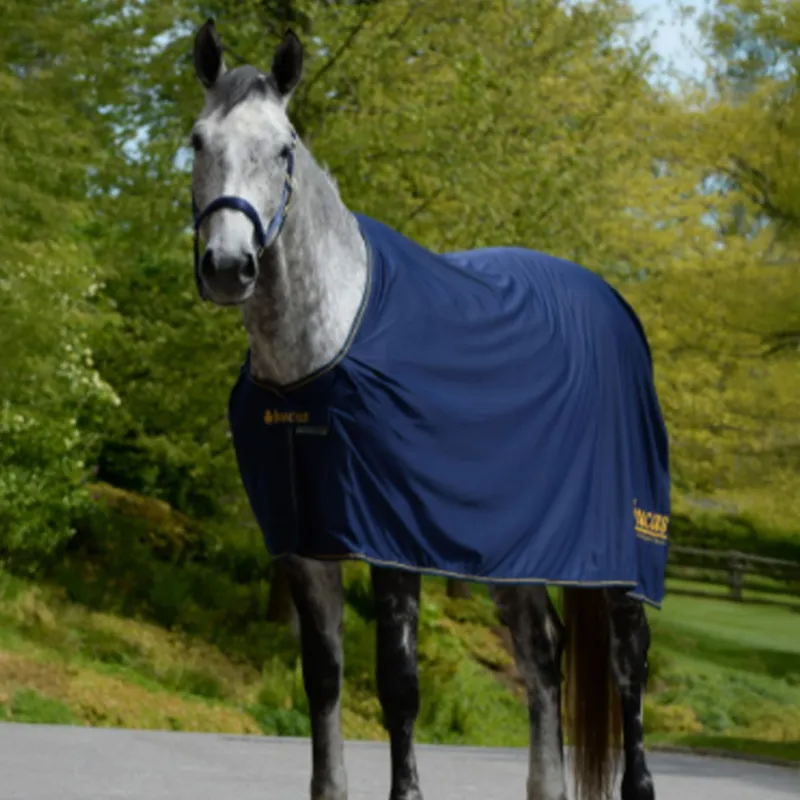 Bucas Power Prize Logo Cooler - Navy/Gold-1