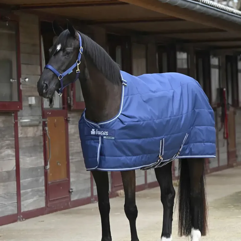 Bucas Quilt 150g Big Neck Stable Blanket with Silk-Feel Lining - Navy-2