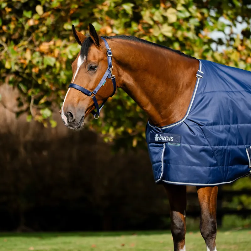 Bucas Quilt 300g Stable Blanket with Silk-Feel Lining - Navy/Silver-1