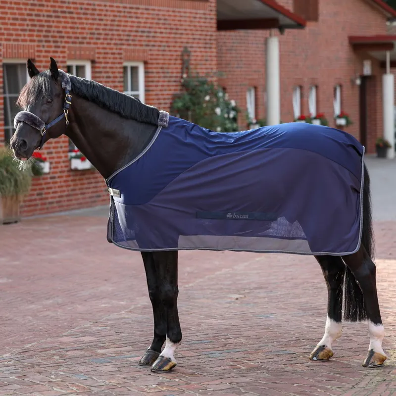Bucas Show-Line Competition Cooler - Navy/Grey