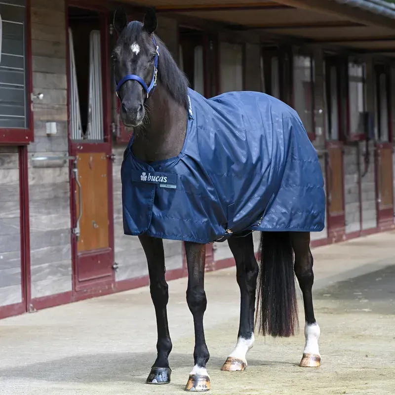 Bucas Stable Sheet - Navy-4