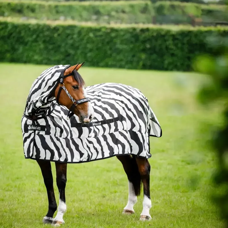 Bucas Sweet-Itch Full Neck Fly Sheet - Zebra Print-3