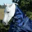 Bucas Smartex Combi 300g Turnout Neck Cover - Blue