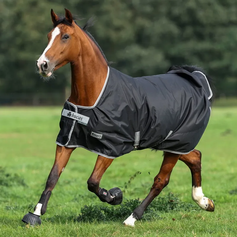 Bucas Anniversary 150g Standard Neck Turnout Blanket - Black