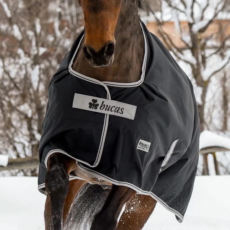 Bucas Anniversary 150g Standard Neck Turnout Blanket - Black-3