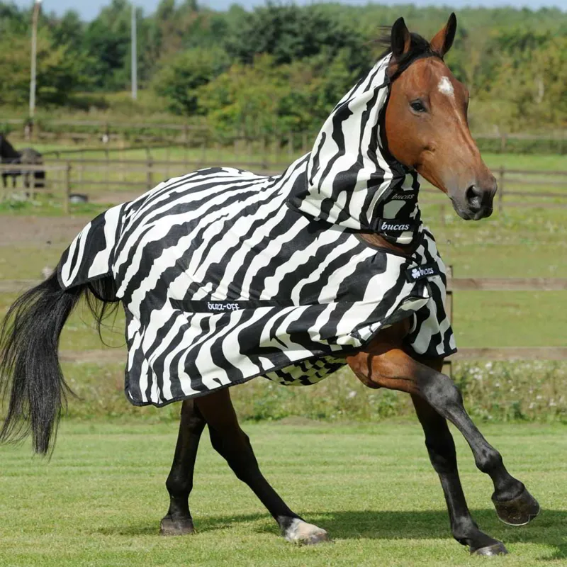 Bucas Buzz-Off Full Neck Fly Sheet - Zebra Print-5