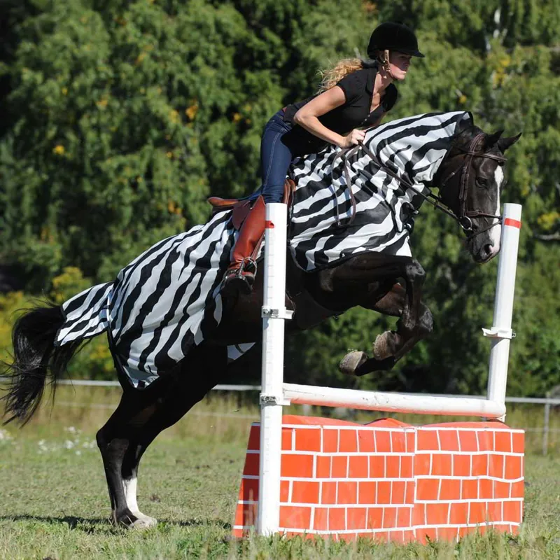 Bucas Buzz-Off Riding Sheet - Zebra Print-3