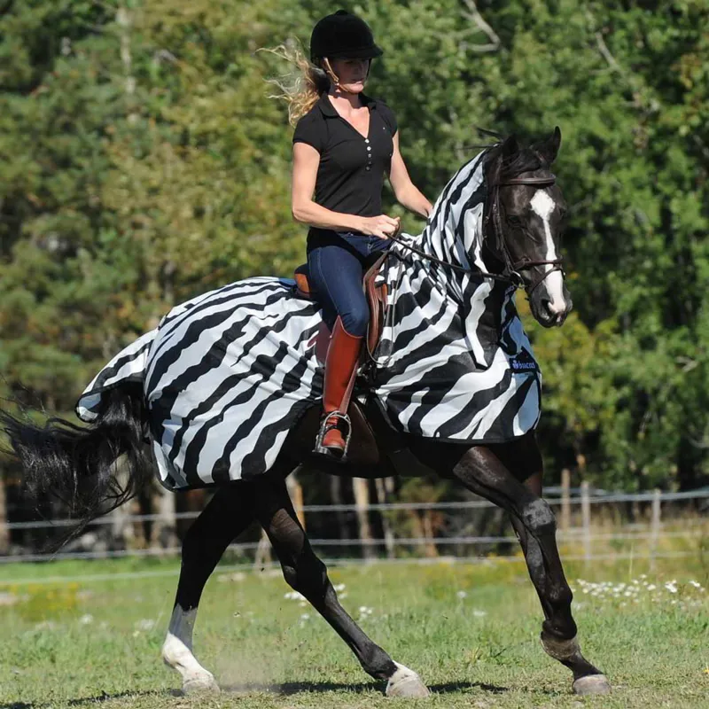 Bucas Buzz-Off Riding Sheet - Zebra Print-2