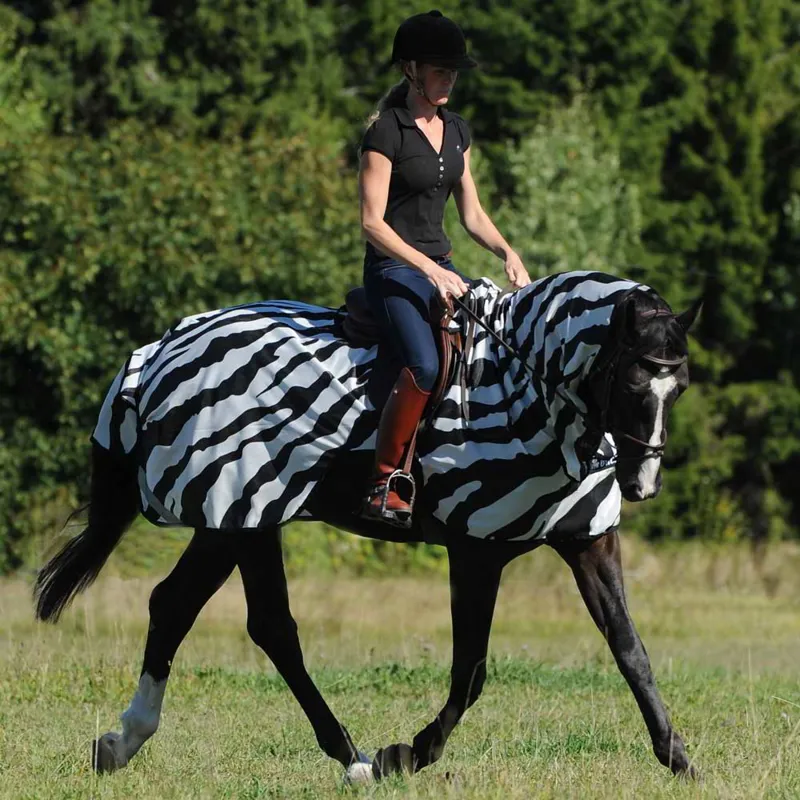 Bucas Buzz-Off Riding Sheet - Zebra Print-1