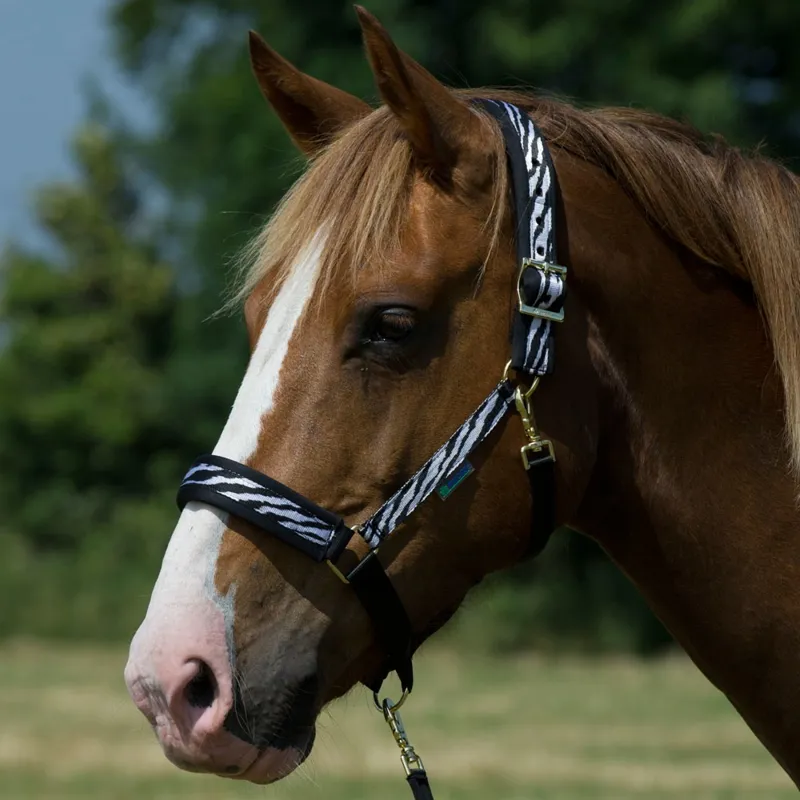 Bucas Comfort Halter - Zebra Print