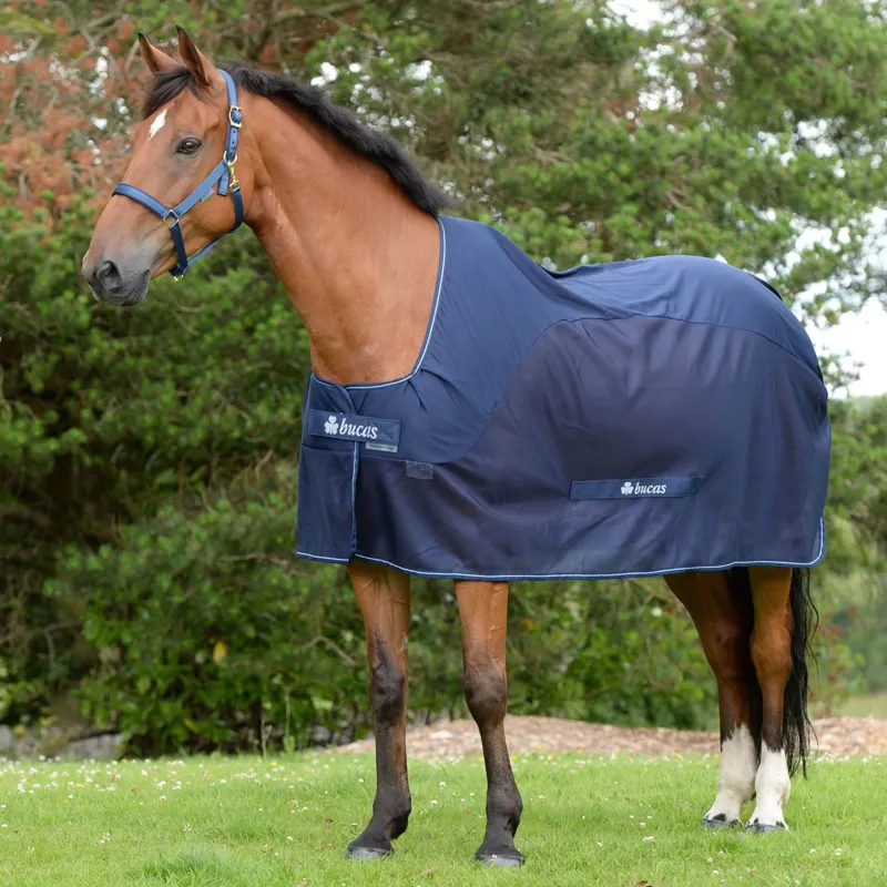 Bucas Competition Cooler - Navy