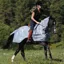 Bucas Buzz-Off Riding Rug - Silver/Navy
