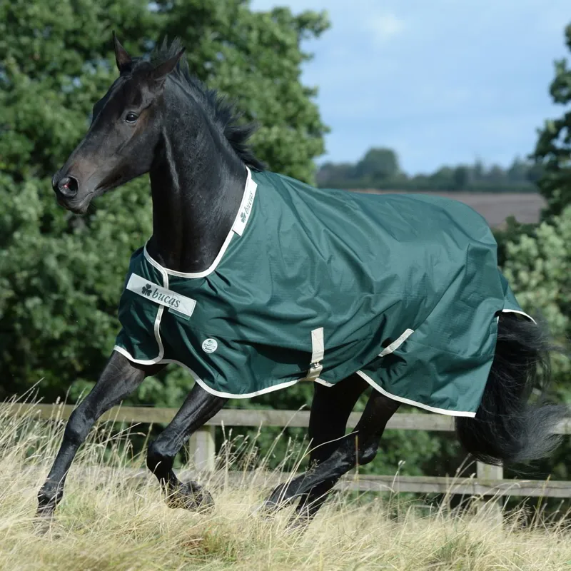 Bucas Green-Line 100g Standard Neck Turnout Blanket - Green/Cream