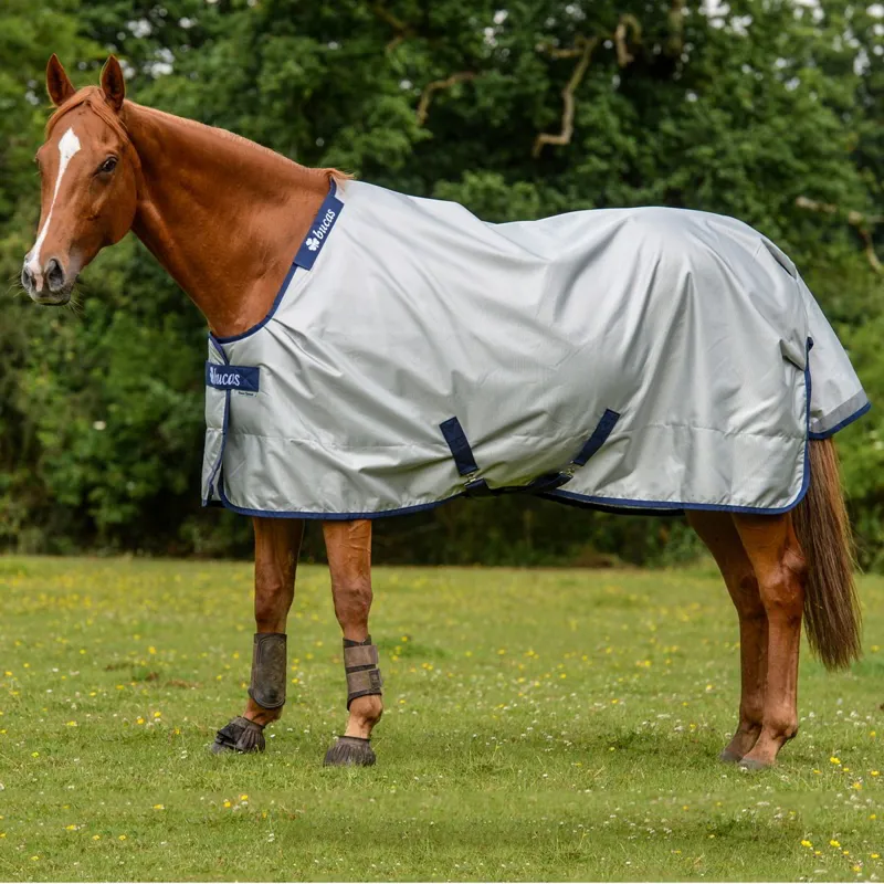 Bucas Power 0g Standard Neck Turnout Blanket - Silver