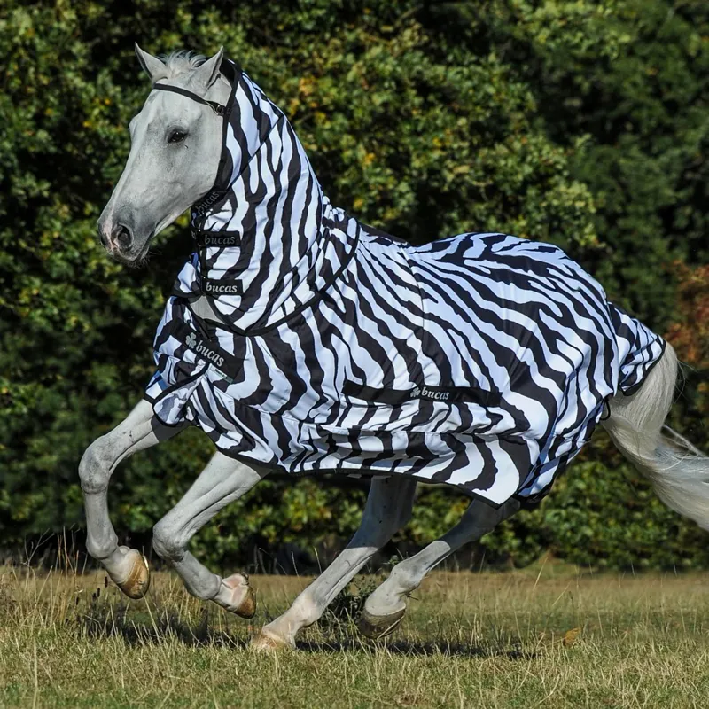 Bucas Sweet-Itch Full Neck Fly Sheet - Zebra Print-1