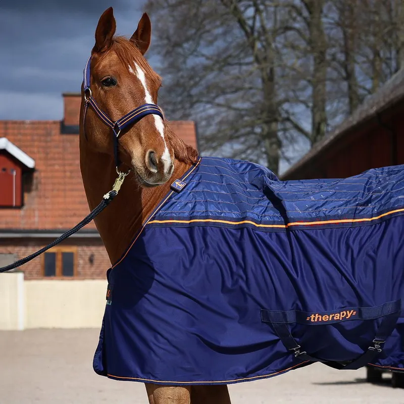 Bucas Therapy Big Neck Cooler - Navy/Orange-1