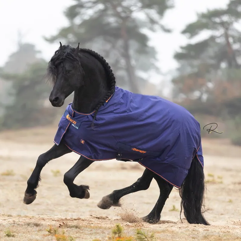 Bucas Therapy 0g Turnout Blanket - Navy/Orange-10