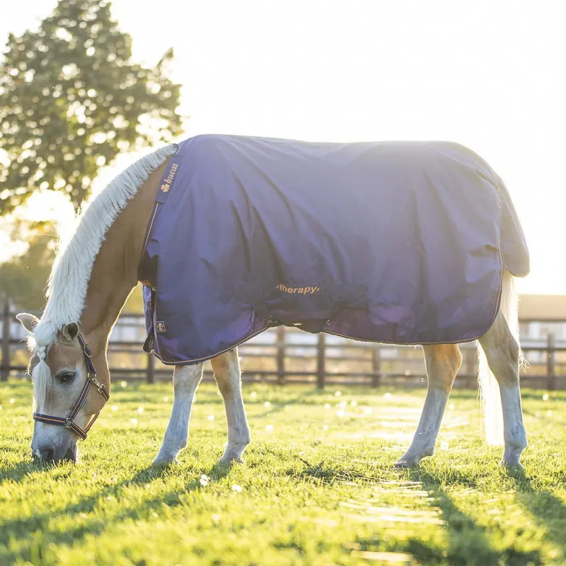 Bucas Therapy 0g Turnout Blanket - Navy/Orange-9