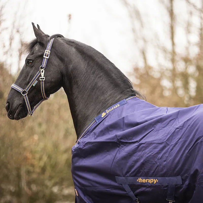 Bucas Therapy 0g Turnout Blanket - Navy/Orange-8