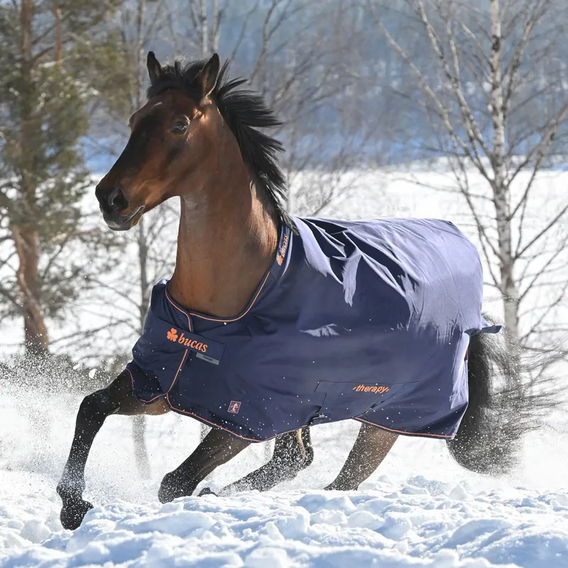 Bucas Therapy 0g Turnout Blanket - Navy/Orange-7