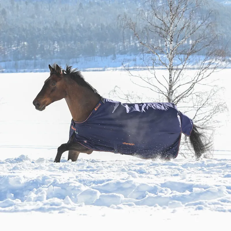 Bucas Therapy 0g Turnout Blanket - Navy/Orange-6