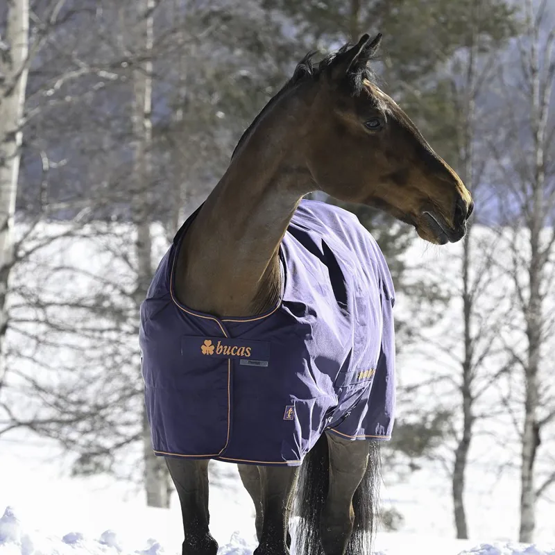 Bucas Therapy 0g Turnout Blanket - Navy/Orange-5
