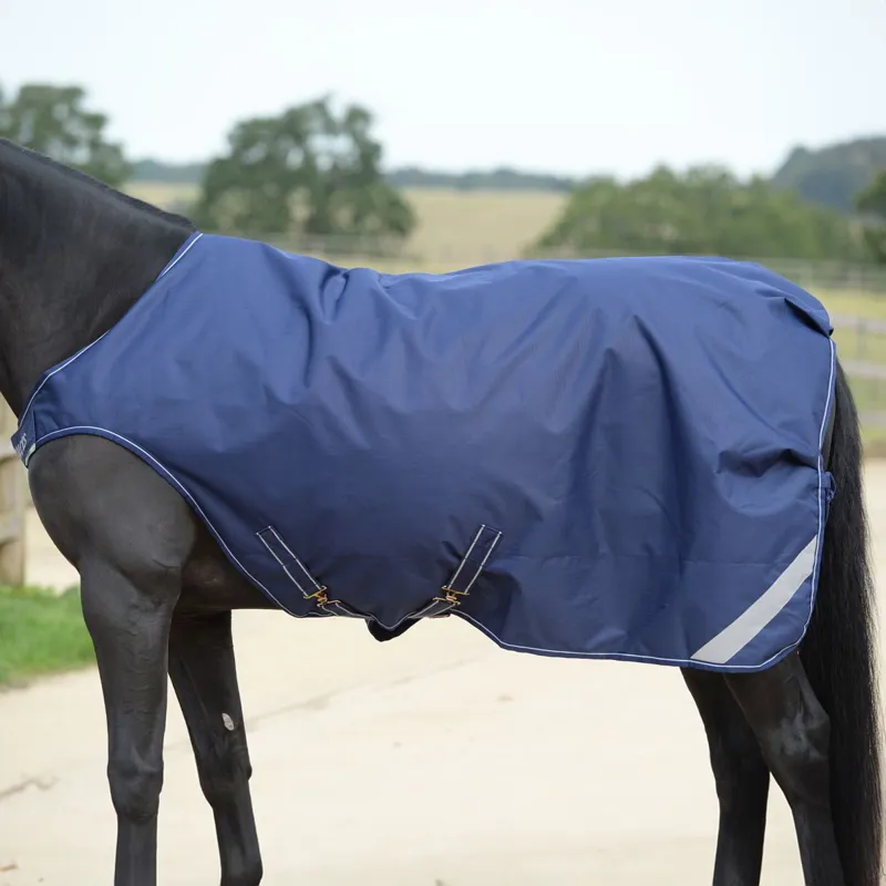 Bucas Walker Rug - Navy/Silver
