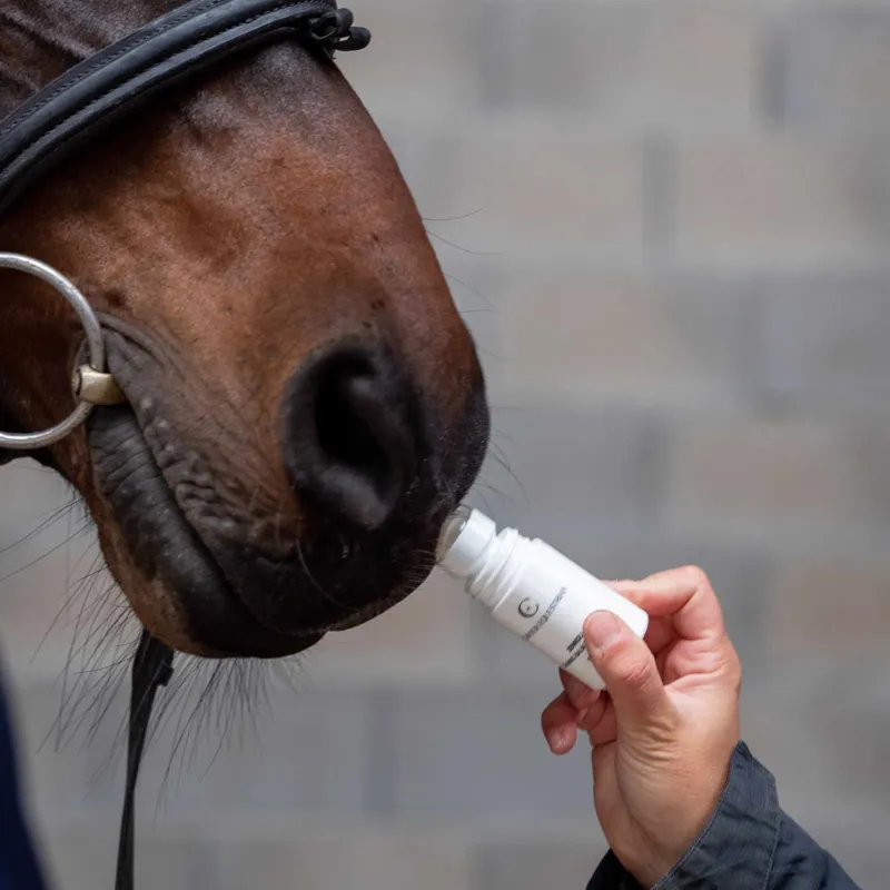 Canter Equestrian Zenroll Calming Balm-2