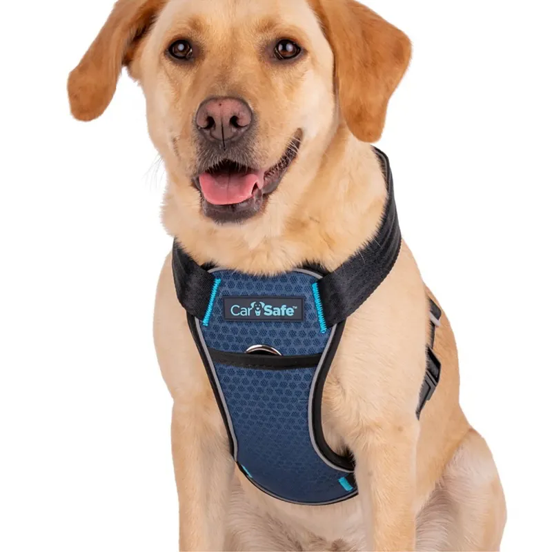 CarSafe Crash Tested Dog Harness - Blue/Black