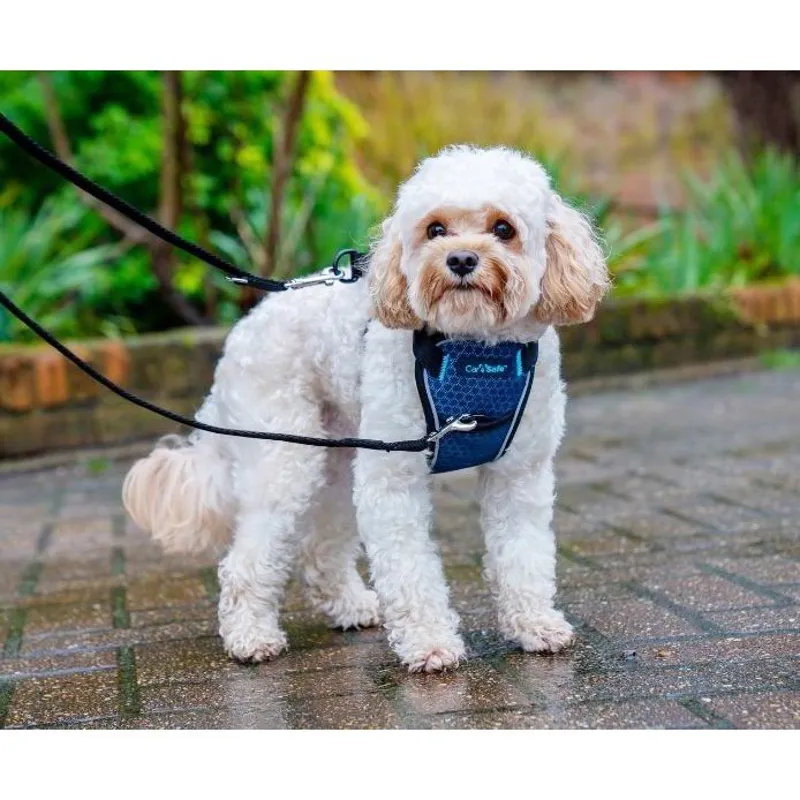 CarSafe Crash Tested Dog Harness - Blue/Black-4