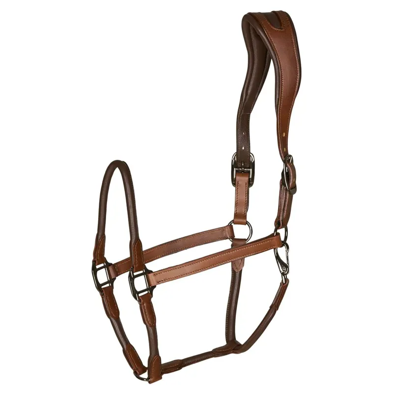 Catago Leather Halter - Brown