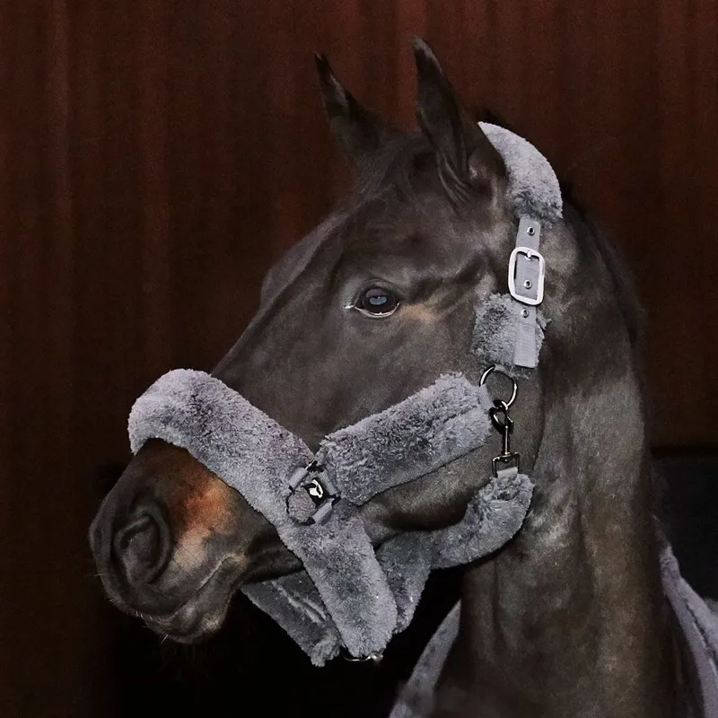 Catago Quick Dry Halter - Asphalt