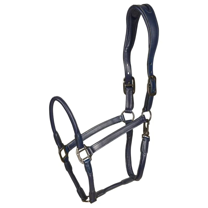 Catago Leather Halter - Navy